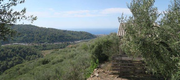 3800m² Land in San Bartolomeo al Mare, Italy No. 146551 4
