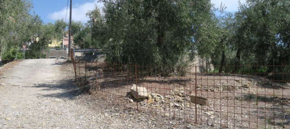 3800m² Land in San Bartolomeo al Mare, Italy No. 146551 20