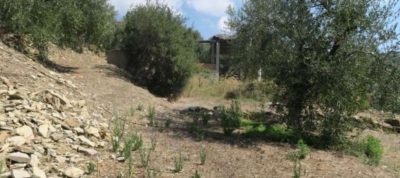 3800m² Land in San Bartolomeo al Mare, Italy No. 146551 10