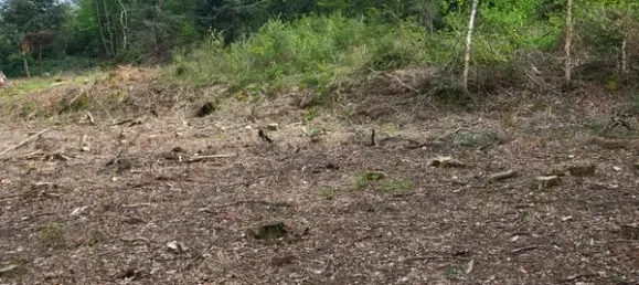 Grundstück in Saulcy-sur-Meurthe, France 1118m², Nr. 63322 3