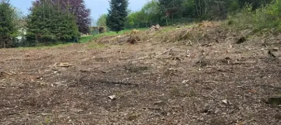 Grundstück in Saulcy-sur-Meurthe, France 1118m², Nr. 63322 2