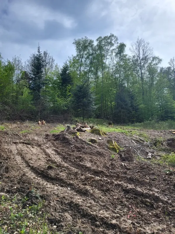 Grundstück in Saulcy-sur-Meurthe, France 1118m², Nr. 63322