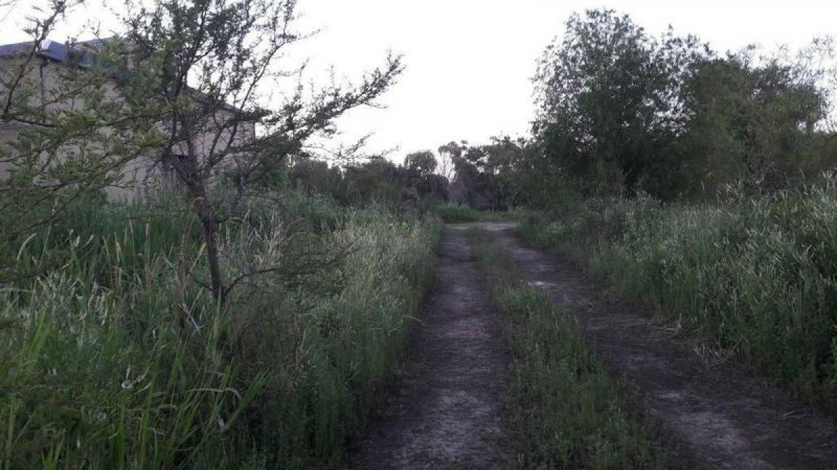  Land in Entre Rios, Argentina No. 49361
