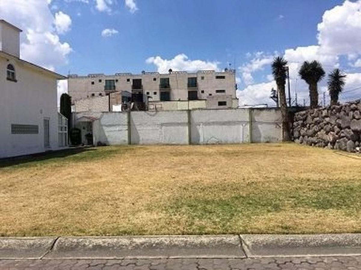  Land in Mexico No. 202784