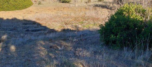 Terrain à Orosei, Italy 10490m² No. 255490 2