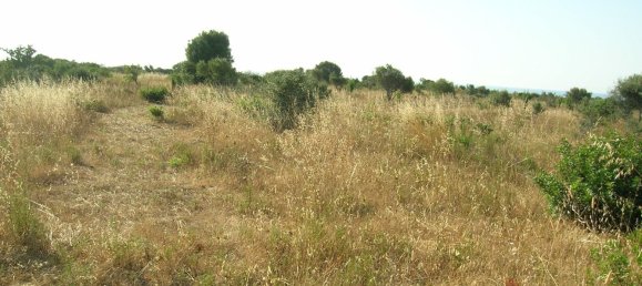 Terrain à Orosei, Italy 10490m² No. 255490 7