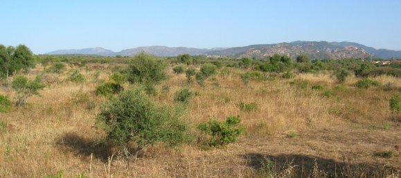 Terrain à Orosei, Italy 10490m² No. 255490 5