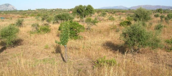 Terrain à Orosei, Italy 10490m² No. 255490 8