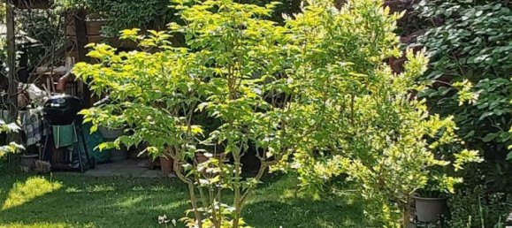 Квартира с 2 спальнями в Майн-Кинциг, Германия № 143308 3