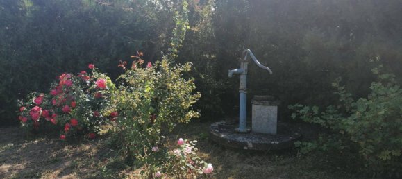 4 rooms House in Stronsdorf, Austria No. 142213 20