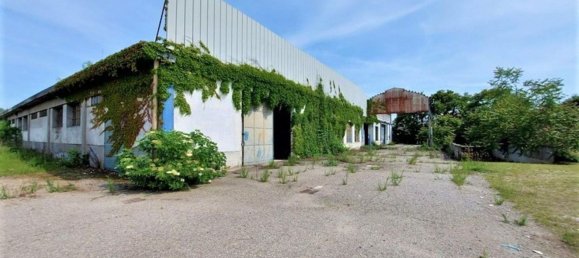 5050m² Warehouse in Romentino, Italy No. 372488 7