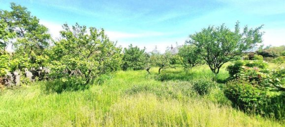 3-Zimmer Bungalow in Eggenburg, Austria, Nr. 235585 9