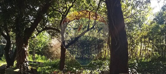 5 bedrooms House in Pomarance, Italy No. 151902 44