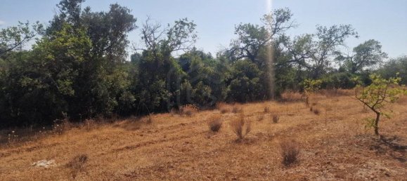 11217m² Land in Loule, Portugal No. 137816 23