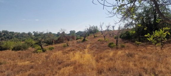 11217m² Land in Loule, Portugal No. 137816 8