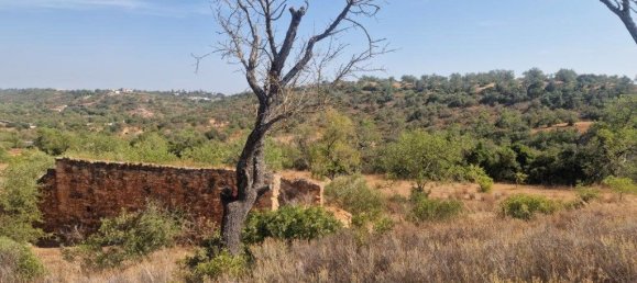 11217m² Land in Loule, Portugal No. 137816 15