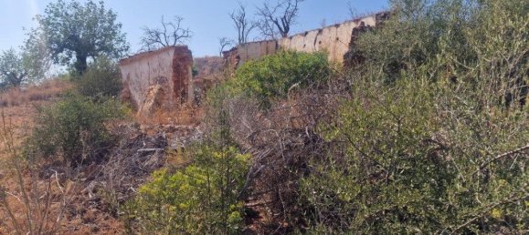 11217m² Land in Loule, Portugal No. 137816 3