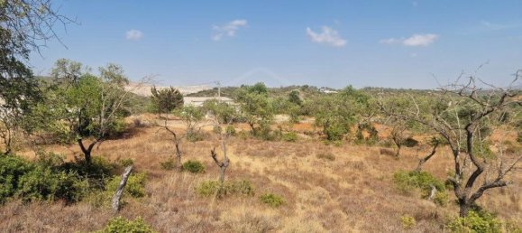 11217m² Land in Loule, Portugal No. 137816 18