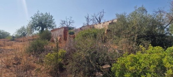 11217m² Land in Loule, Portugal No. 137816 21