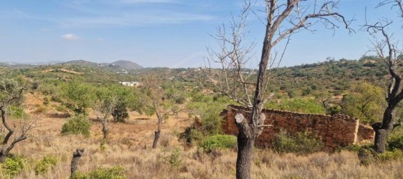 11217m² Land in Loule, Portugal No. 137816 13