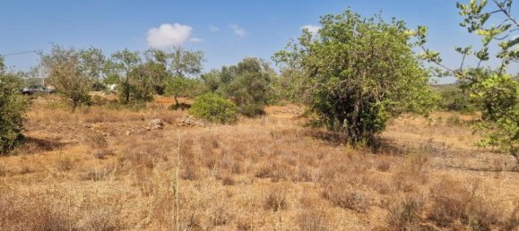 11217m² Land in Loule, Portugal No. 137816 28