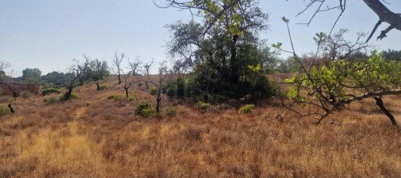 11217m² Land in Loule, Portugal No. 137816 7