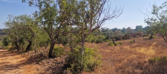 11217m² Land in Loule, Portugal No. 137816 6