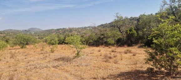 11217m² Land in Loule, Portugal No. 137816 22