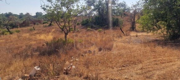 11217m² Land in Loule, Portugal No. 137816 5