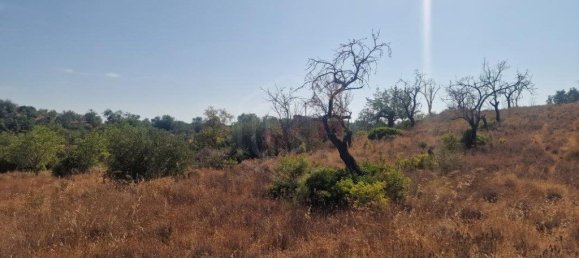 11217m² Land in Loule, Portugal No. 137816 31