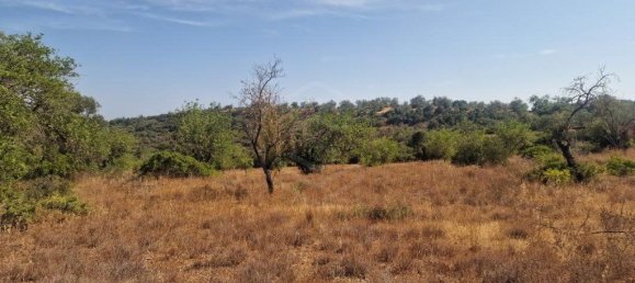 11217m² Land in Loule, Portugal No. 137816 9