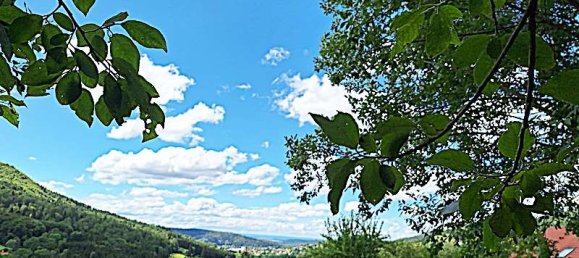 قطعة أرض في Zollernalbkreis, Germany رقم 56752 2