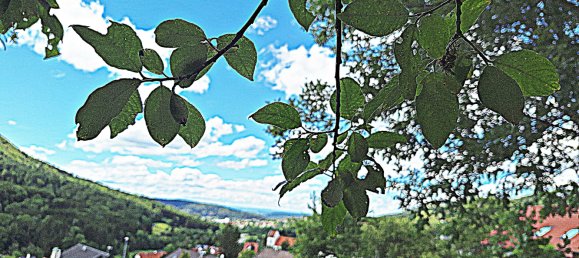 قطعة أرض في Zollernalbkreis, Germany رقم 56752 5