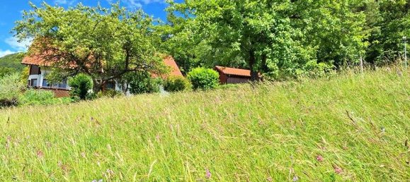 قطعة أرض في Zollernalbkreis, Germany رقم 56752 3