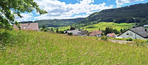 قطعة أرض في Zollernalbkreis, Germany رقم 56752 6