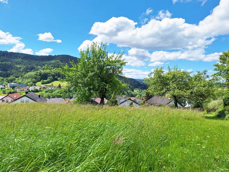  قطعة أرض في Zollernalbkreis, Germany رقم 56752