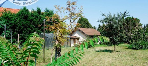 1 Schlafzimmer Haus in Hollabrunn, Austria, Nr. 226466 15