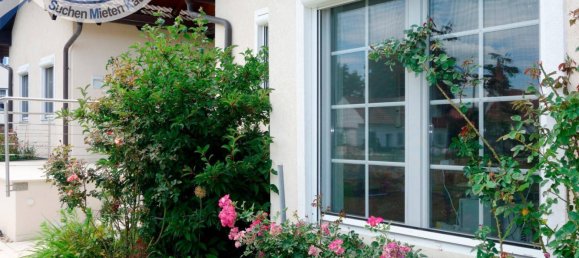 1 Schlafzimmer Haus in Hollabrunn, Austria, Nr. 226466 14