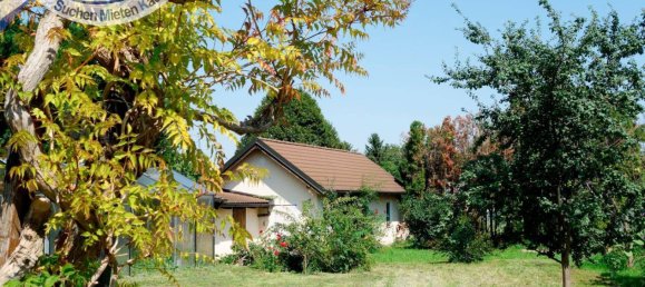 1 Schlafzimmer Haus in Hollabrunn, Austria, Nr. 226466 19