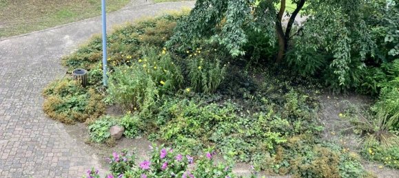 2 Schlafzimmer Wohnung in Greifswald, Germany, Nr. 219415 7