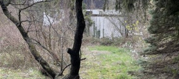 4 rooms House in Brunn am Gebirge, Austria No. 178910 24