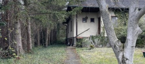4 rooms House in Brunn am Gebirge, Austria No. 178910 17