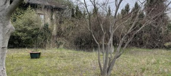 4 rooms House in Brunn am Gebirge, Austria No. 178910 18