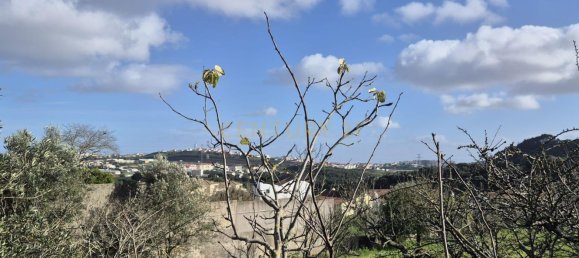 3108m² Land in Sintra, Portugal No. 119968 9