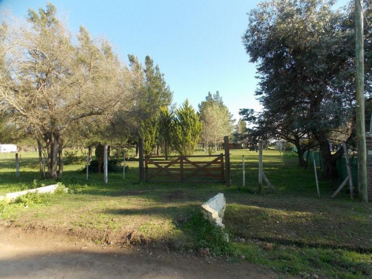 Studio in Buenos Aires, Argentina No. 86251