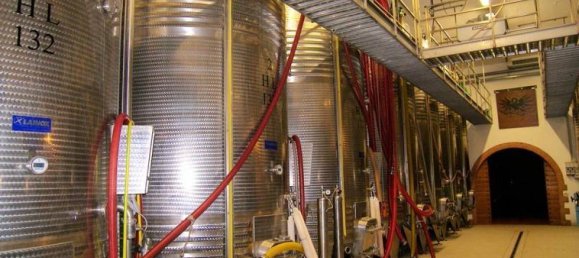 Studio in Montalcino, Italy, Nr. 1544 9