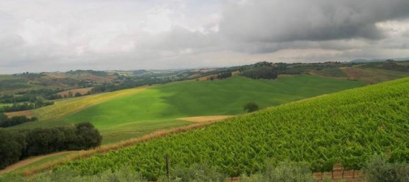 Studio in Montalcino, Italy, Nr. 1544 6