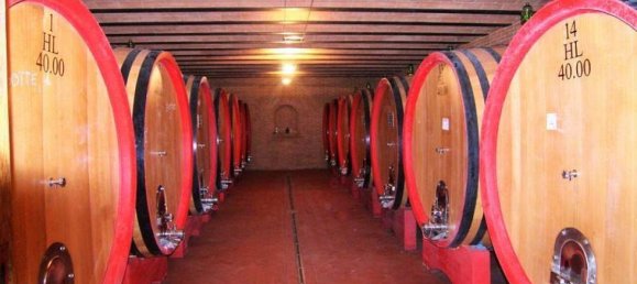 Studio in Montalcino, Italy, Nr. 1544 7