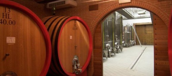 Studio in Montalcino, Italy, Nr. 1544 8