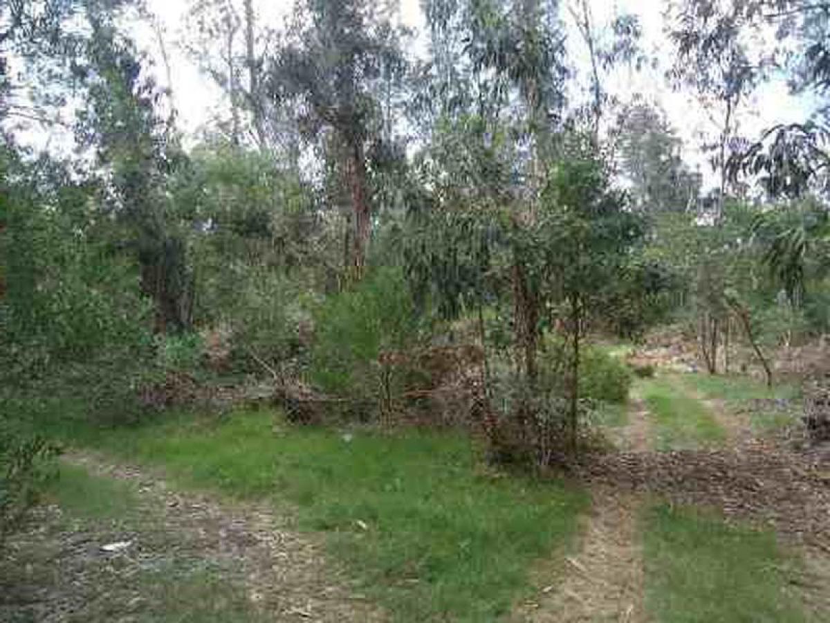 Земельный участок в Мальдонадо, Уругвай № 14736